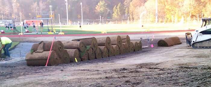 sports field sod