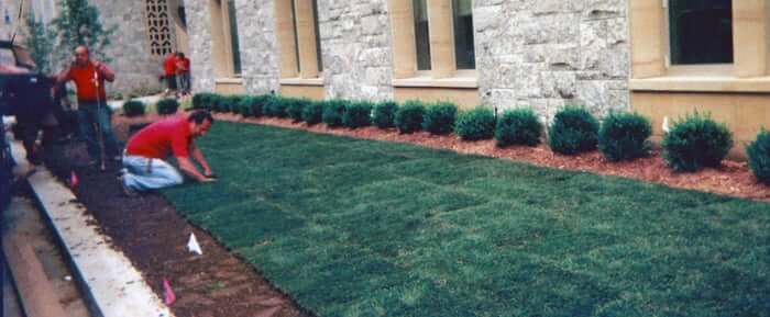 Landscaping Sod installation