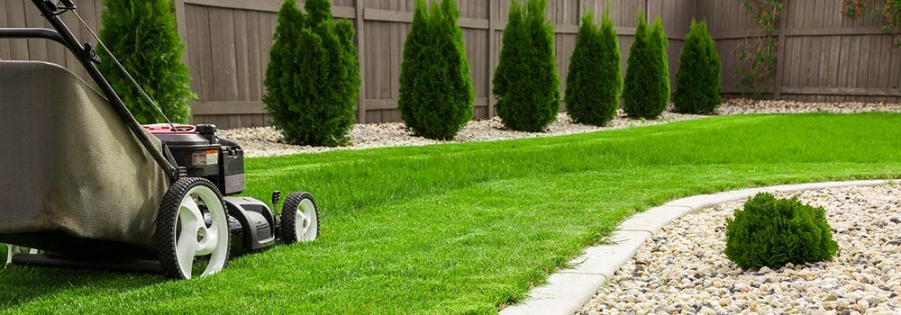 Lawn Care, Lawn Maintenance