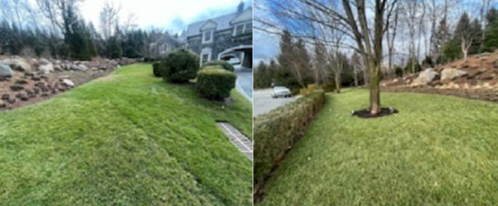 Bergen County Landscaper