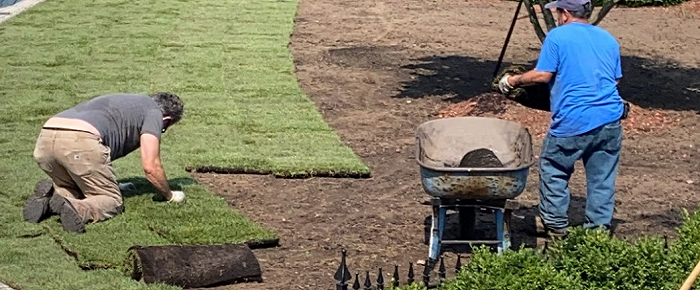 sod landscaper