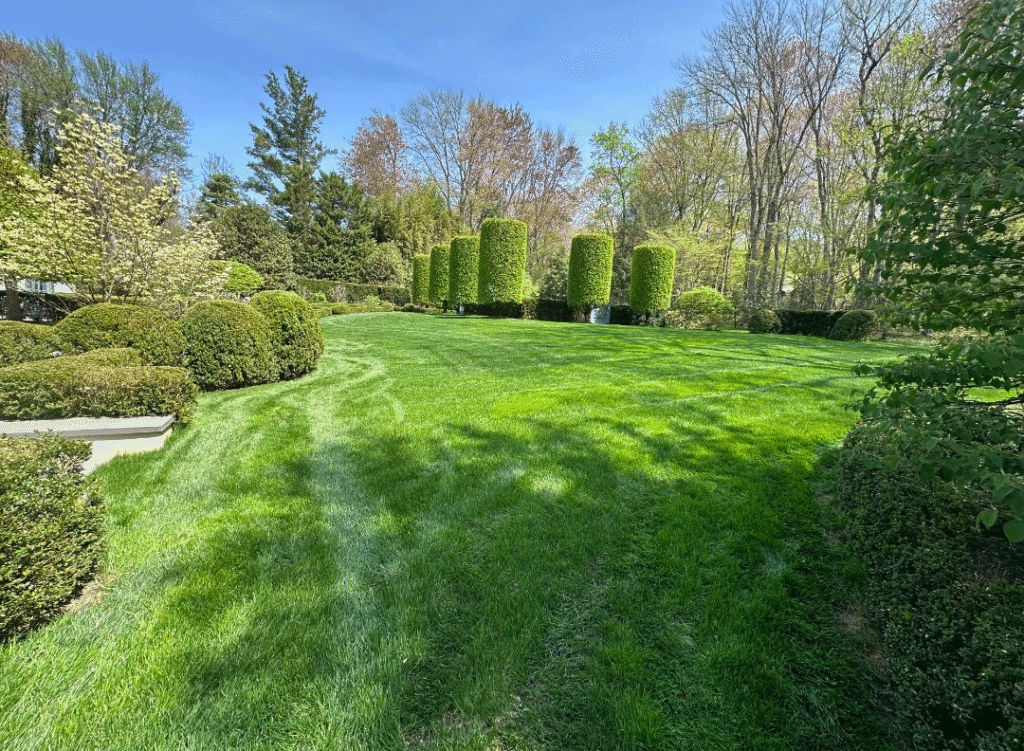 Beautiful suburban grass lawn and landscaping in Bergen County
