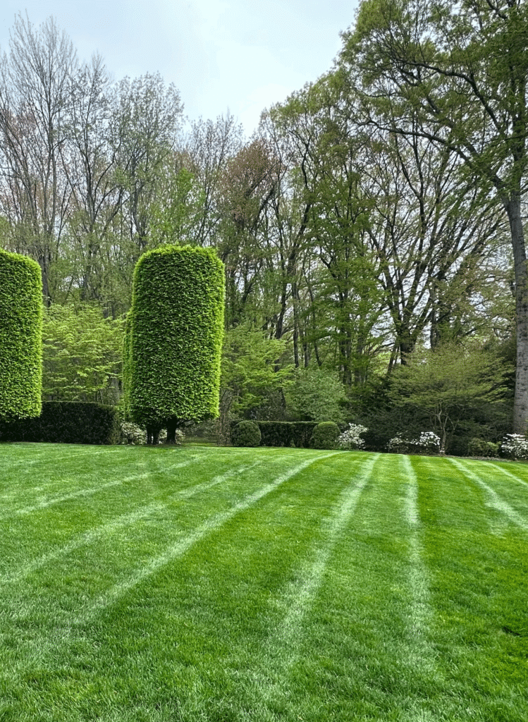 Shrub, bush and green grass landscaping in Bergen County